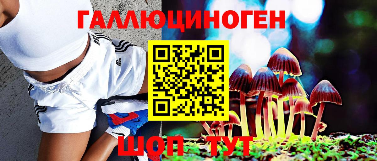 Старая Купавна  Псилоцибиновые грибы Psilocybe  Галлюциногенные грибы ЛСД  Вход с VPN 